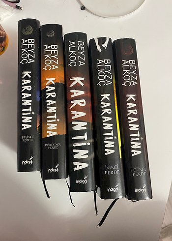 Beyza Alkoç - Karantina Roman Serisi 5 Kitap