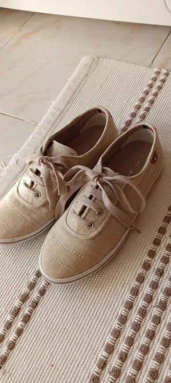 Tommy 36