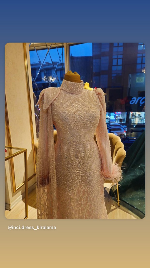 Bej Nakışlı Uzun Kollu Yüksek Yaka Kadın Elbise - Görsel 2