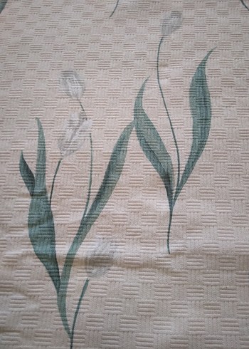 English home tek kişilik pike - Görsel 4