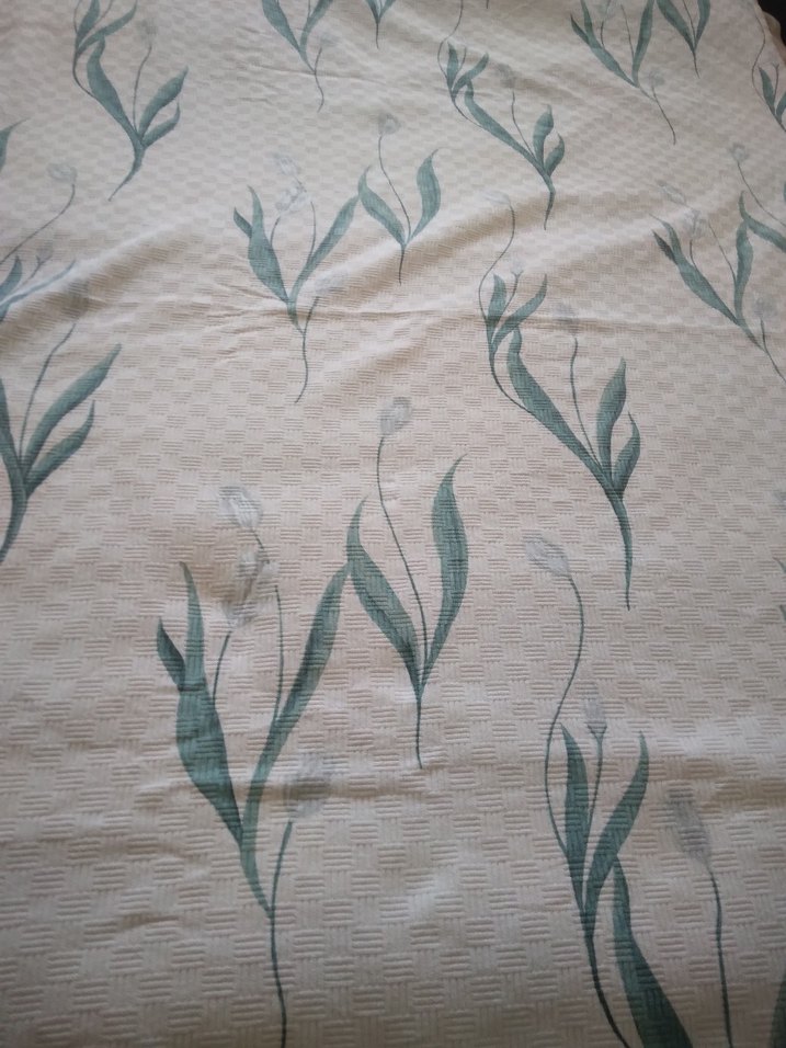 English home tek kişilik pike - Görsel 5