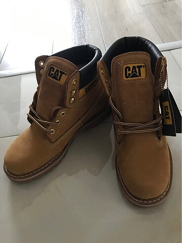 # Erkek cat # - Görsel 2