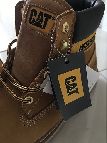 # Erkek cat # - Görsel 4