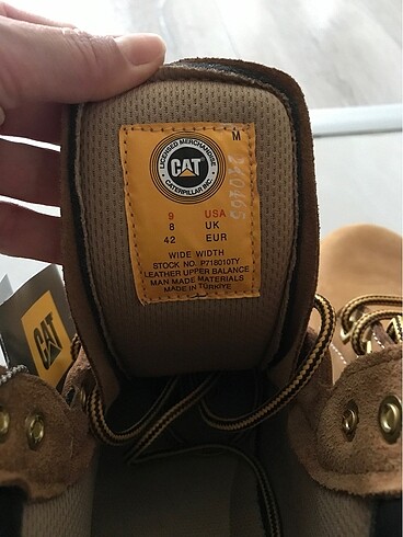 # Erkek cat # - Görsel 5