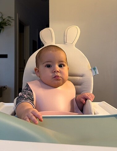 Diğer Mama sandalyesi minderi