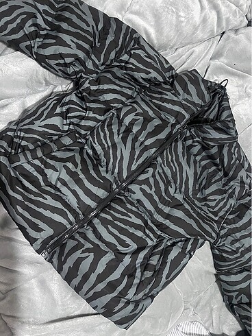 zebra mont
