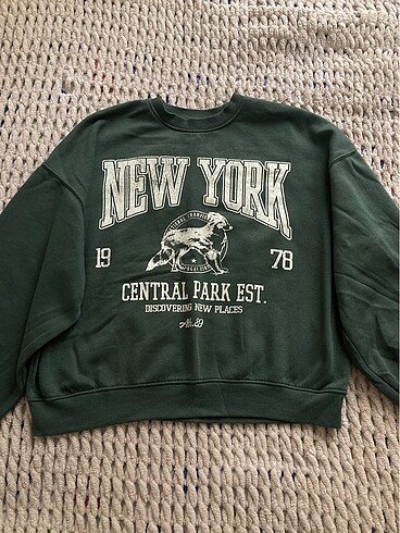 bershka sweatshirt