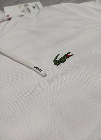 Lacoste Erkek eşofman takımı 