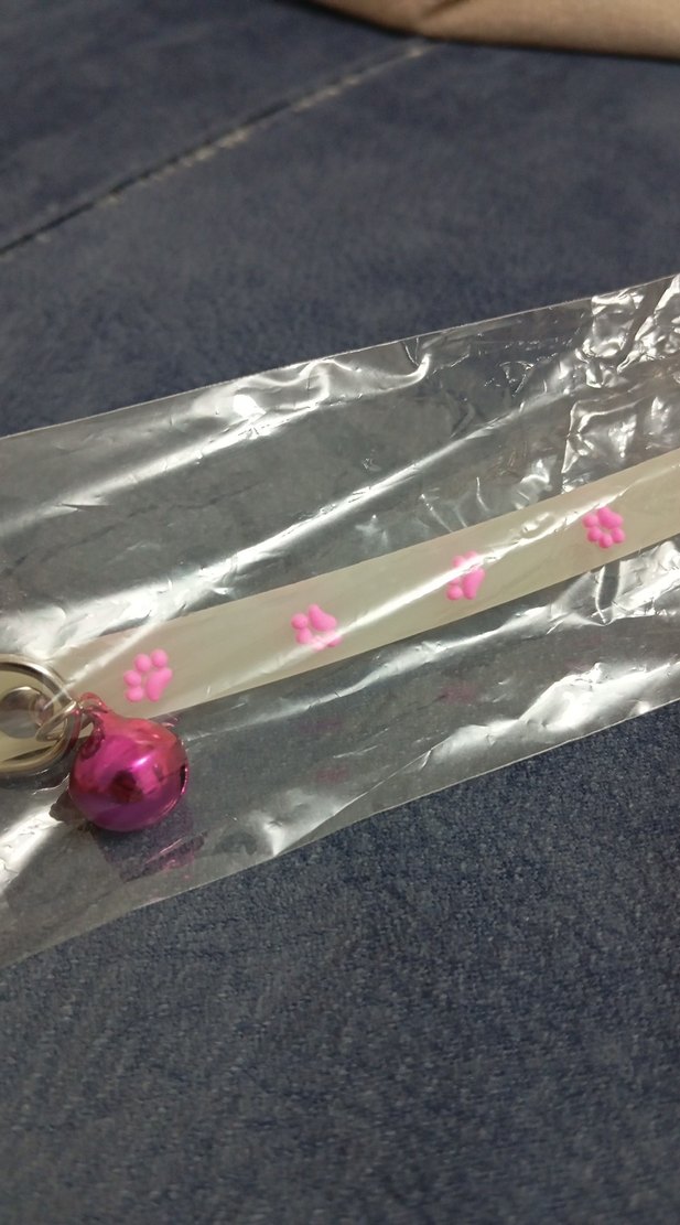 Pembe Pati Desenli Gri Kedi Tasması - Görsel 2