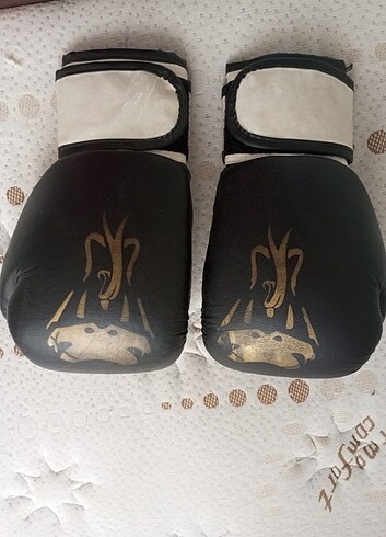 Kick bokx eldiceni