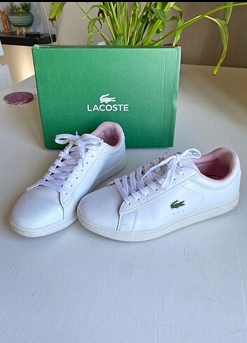 Lacoste Lacoste orjinal ayakkabı 