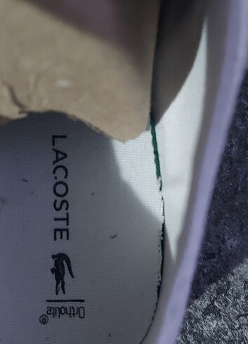 Lacoste orjinal keten - Görsel 8