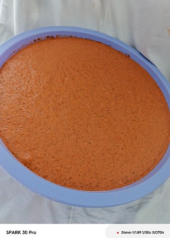 Ev Tarhanası - Görsel 4