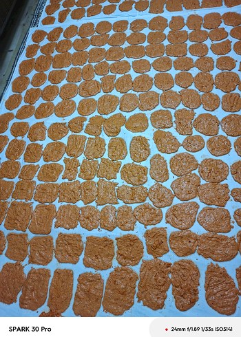 Ev Tarhanası - Görsel 3