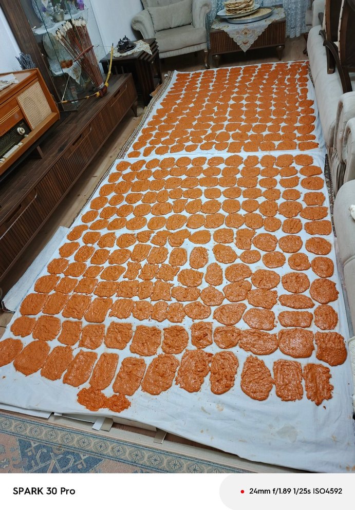 Ev Tarhanası - Görsel 2