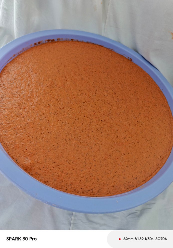 Ev Tarhanası - Görsel 4