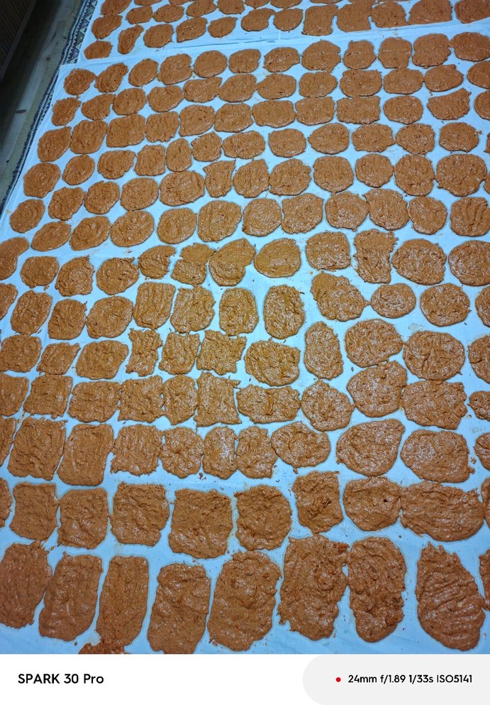 Ev Tarhanası - Görsel 3