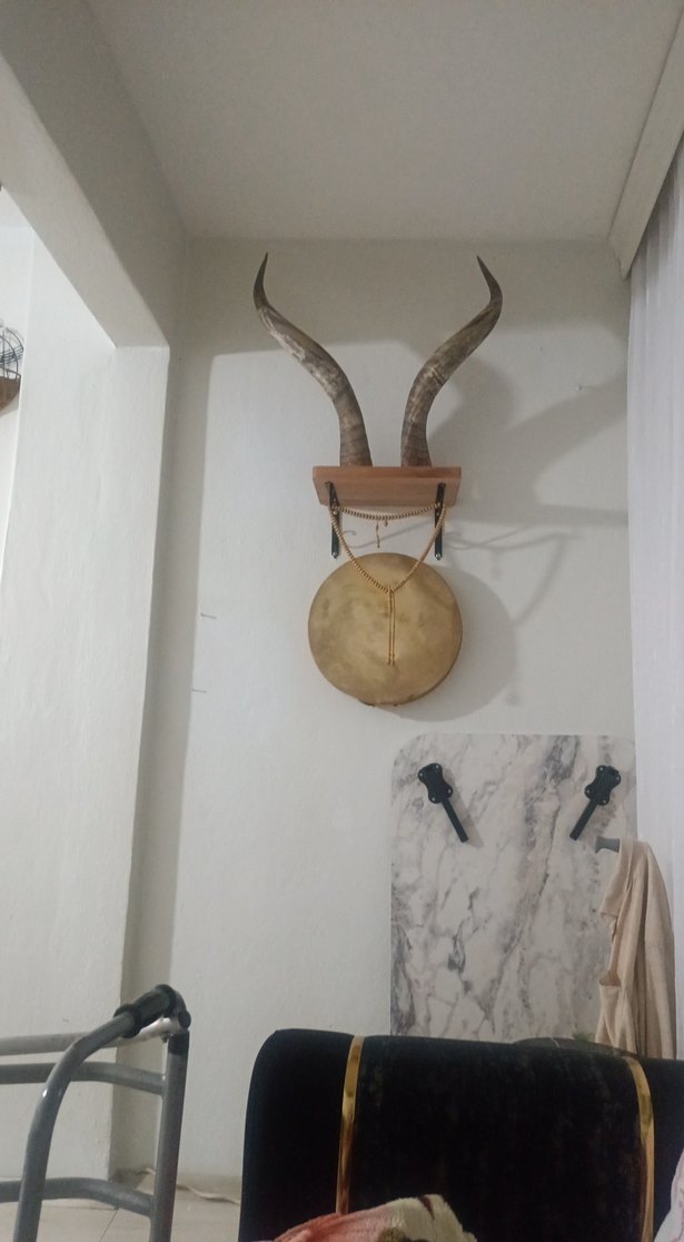 orijinal buffolo boynuzu - Görsel 3