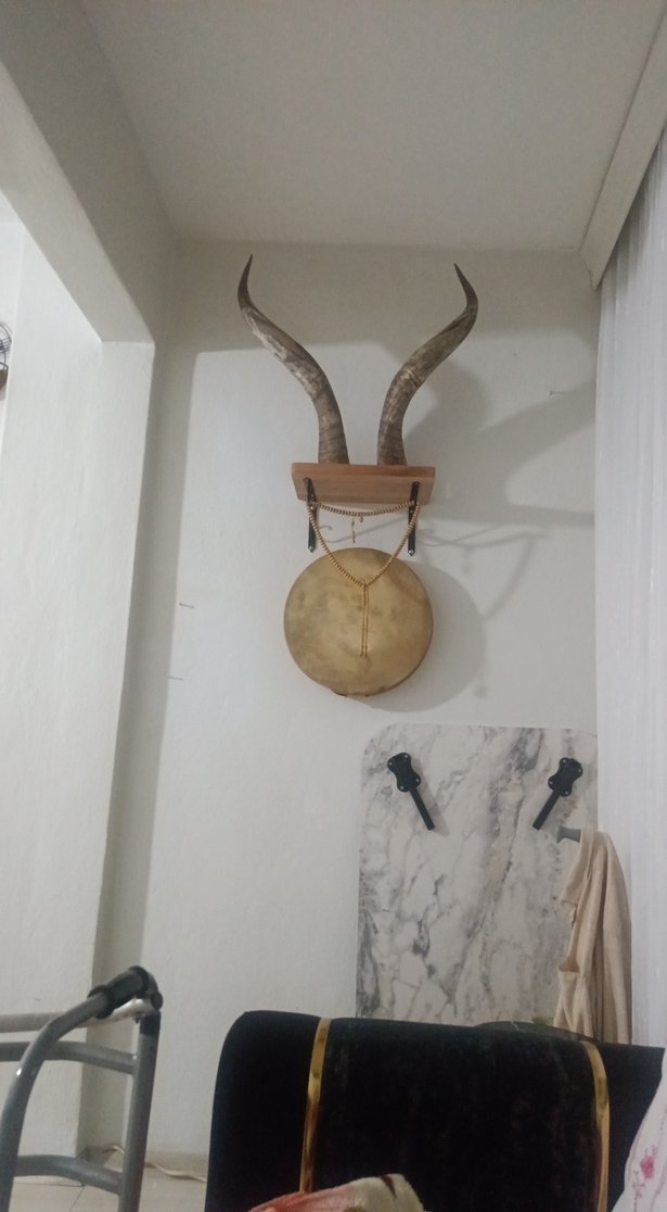 orijinal buffolo boynuzu - Görsel 2