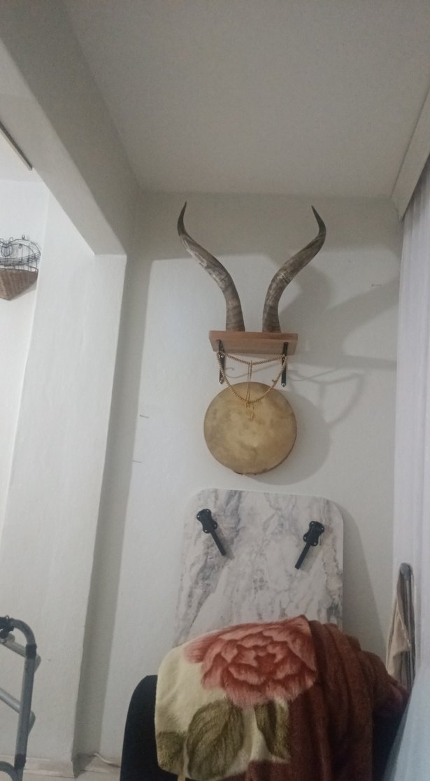 orijinal buffolo boynuzu teklif usulü verilecek - Görsel 2