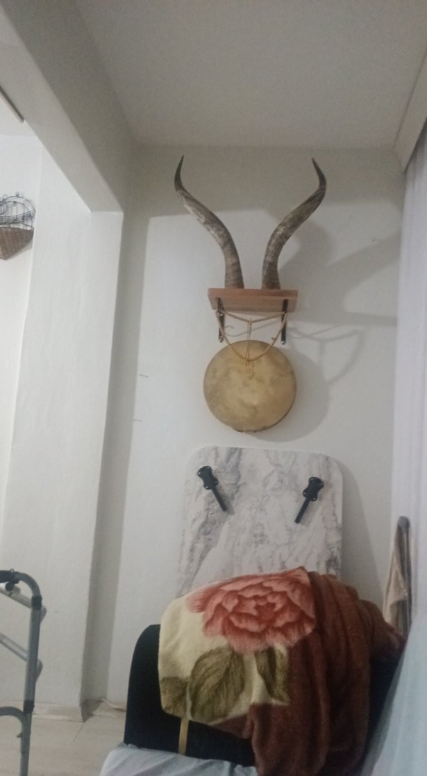 orijinal buffolo boynuzu teklif usulü verilecek - Görsel 3