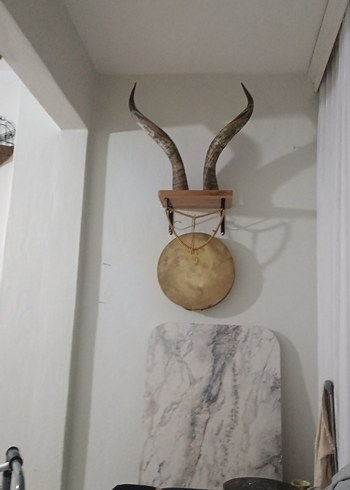 Duvar Asmalı   Boynuz Süslemeli fiyat temsilidir ürün orijinal - Görsel 3