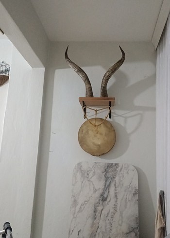 Duvar Asmalı   Boynuz Süslemeli fiyat temsilidir ürün orijinal - Görsel 2