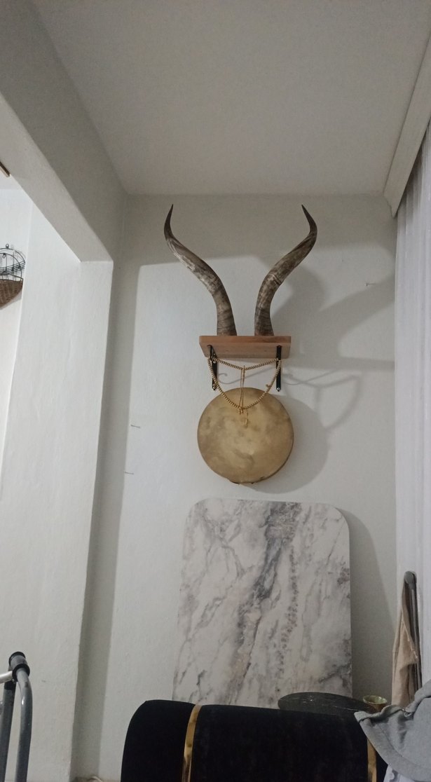 Duvar Asmalı   Boynuz Süslemeli fiyat temsilidir ürün orijinal - Görsel 2