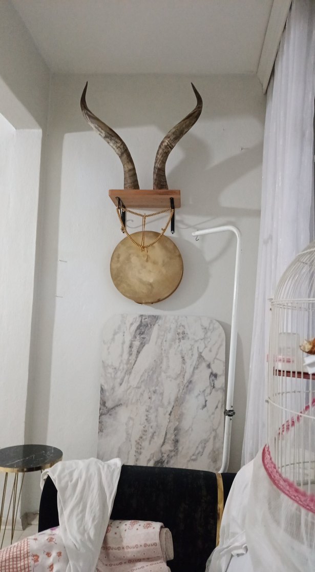 orijinal buffolo boynuzu teklif usulü verilecek - Görsel 3