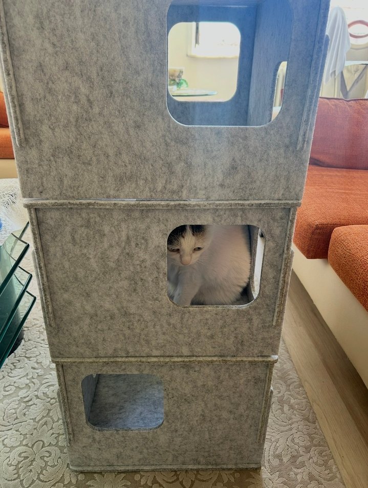 3 Katlı Keçe Kedi Evi - Görsel 4