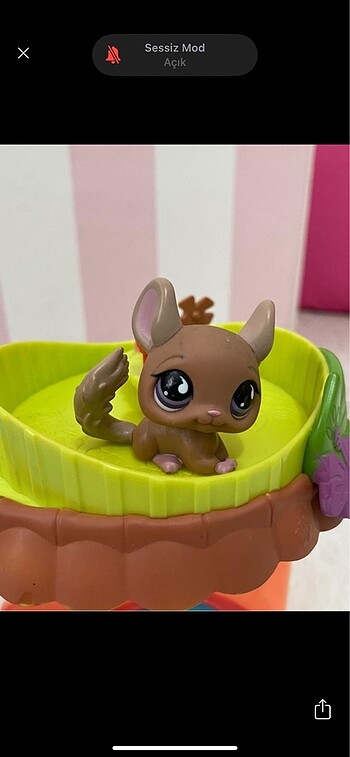 Lps miniş