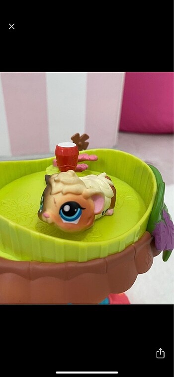 Lps miniş