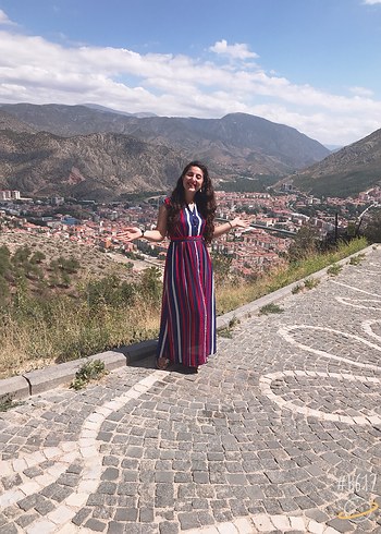 Renkli Çizgili Uzun Kolsuz Elbise - Görsel 7