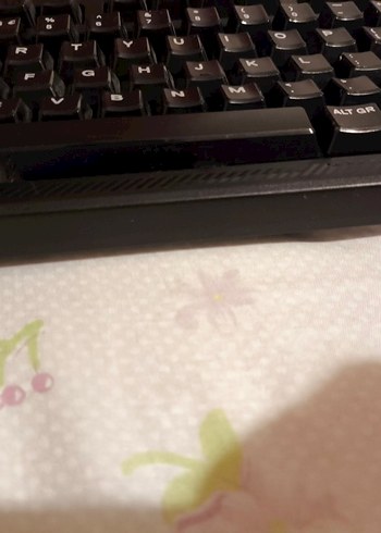 steelsseries apex 100 - Görsel 3