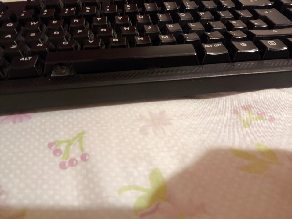 steelsseries apex 100 - Görsel 3