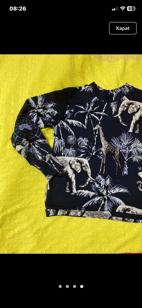 Bohem Tarzı Erkek Çocuk Baskılı Sweatshirt - Görsel 4