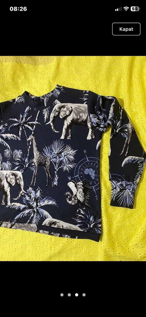 Bohem Tarzı Erkek Çocuk Baskılı Sweatshirt - Görsel 3