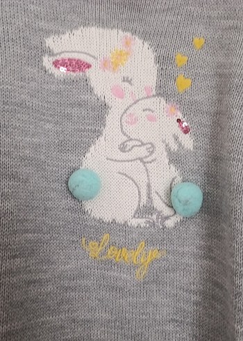 Kız Çocuk Gri Nakışlı triko elbıse - Görsel 3