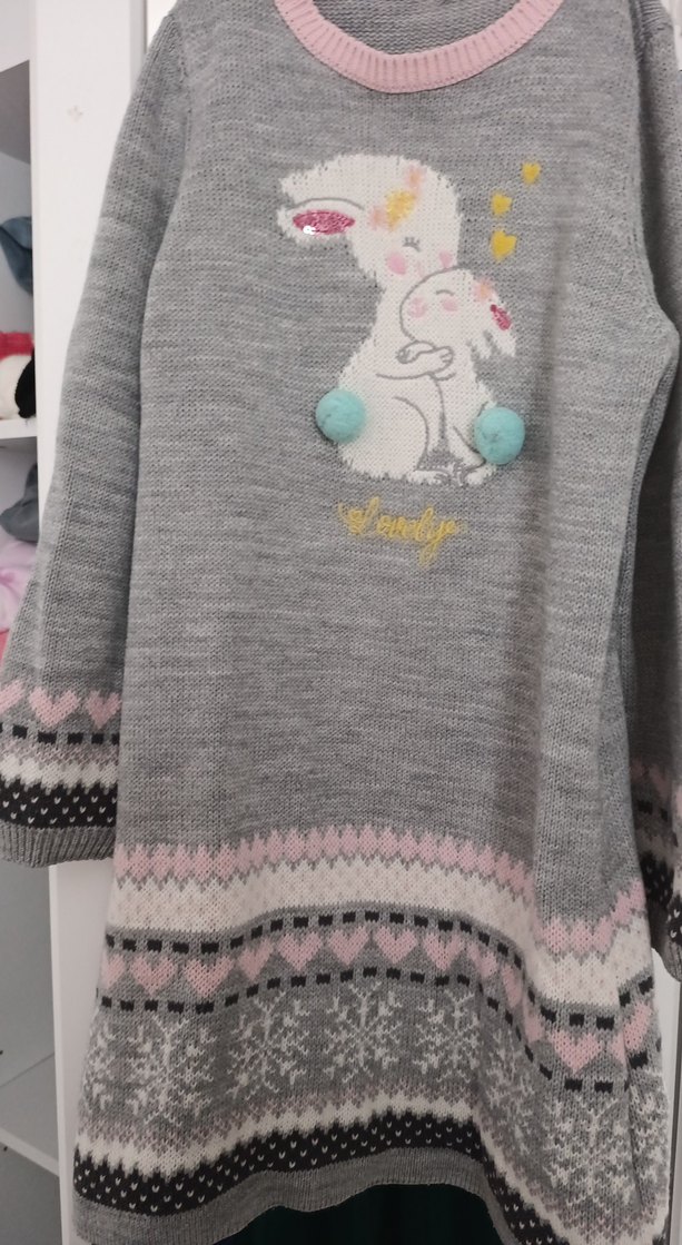 Kız Çocuk Gri Nakışlı triko elbıse - Görsel 2