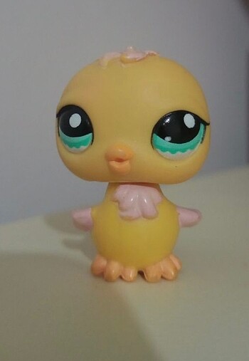Lps miniş civciv