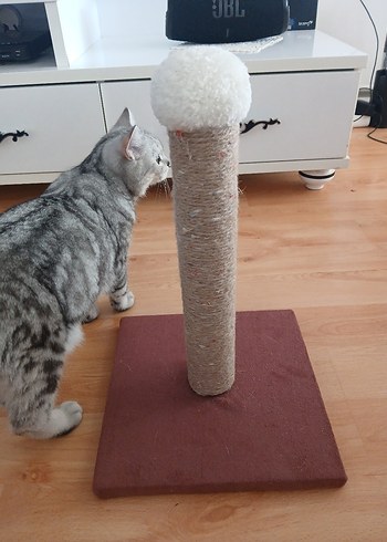 Kediler için kahverengi tırmalama direği - Görsel 2