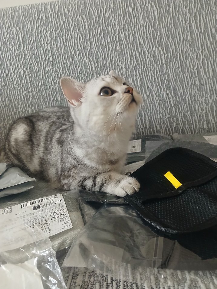 TÜY TOPLAMA ELDİVENİ - Görsel 3