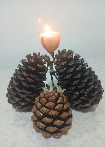 Koyu Kahverengi Kozalak Ev Dekoru - Görsel 9