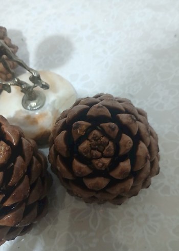 Koyu Kahverengi Kozalak Ev Dekoru - Görsel 10