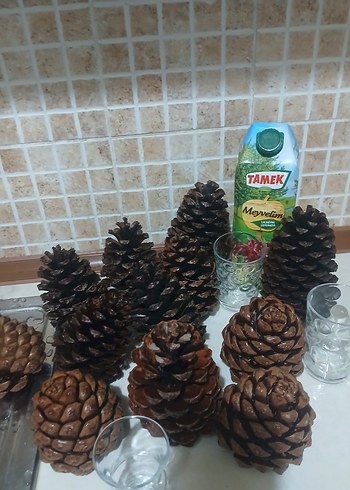 Koyu Kahverengi Kozalak Ev Dekoru - Görsel 2