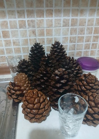 Koyu Kahverengi Kozalak Ev Dekoru - Görsel 4