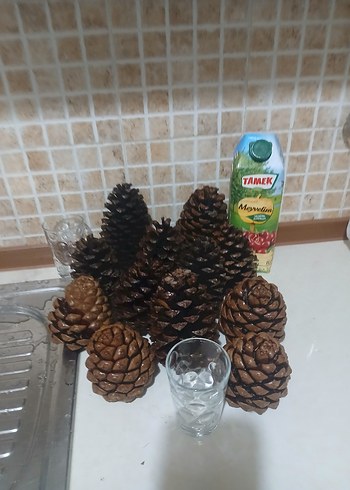 Koyu Kahverengi Kozalak Ev Dekoru - Görsel 3