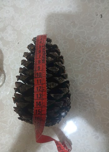 Koyu Kahverengi Kozalak Ev Dekoru - Görsel 6