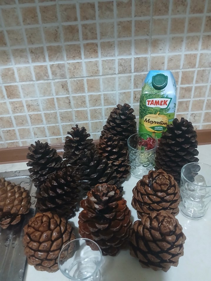 Koyu Kahverengi Kozalak Ev Dekoru - Görsel 2