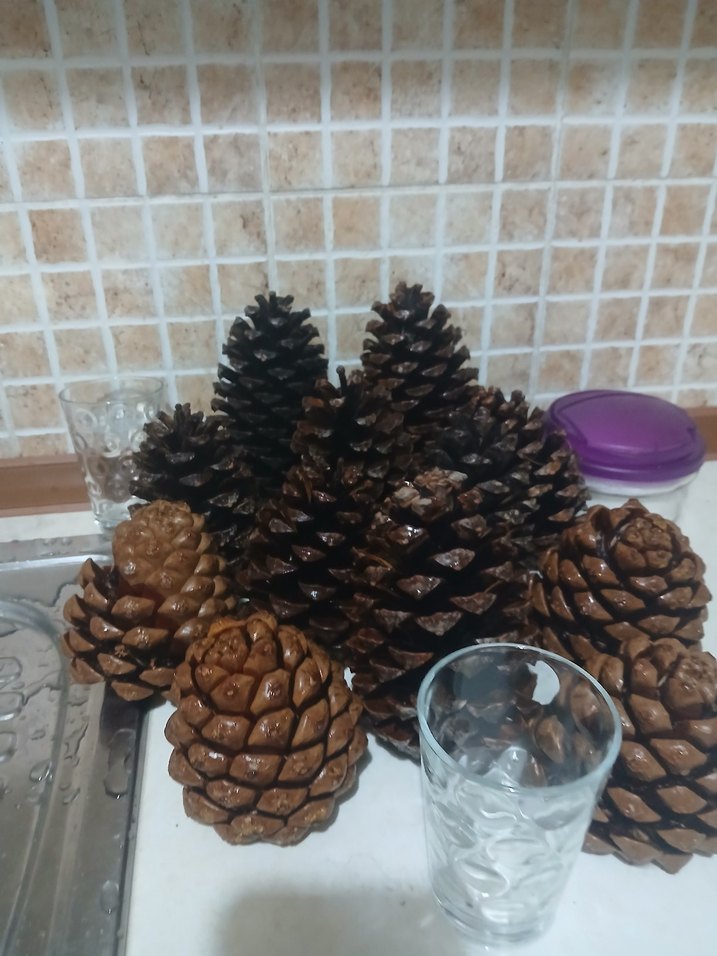 Koyu Kahverengi Kozalak Ev Dekoru - Görsel 4